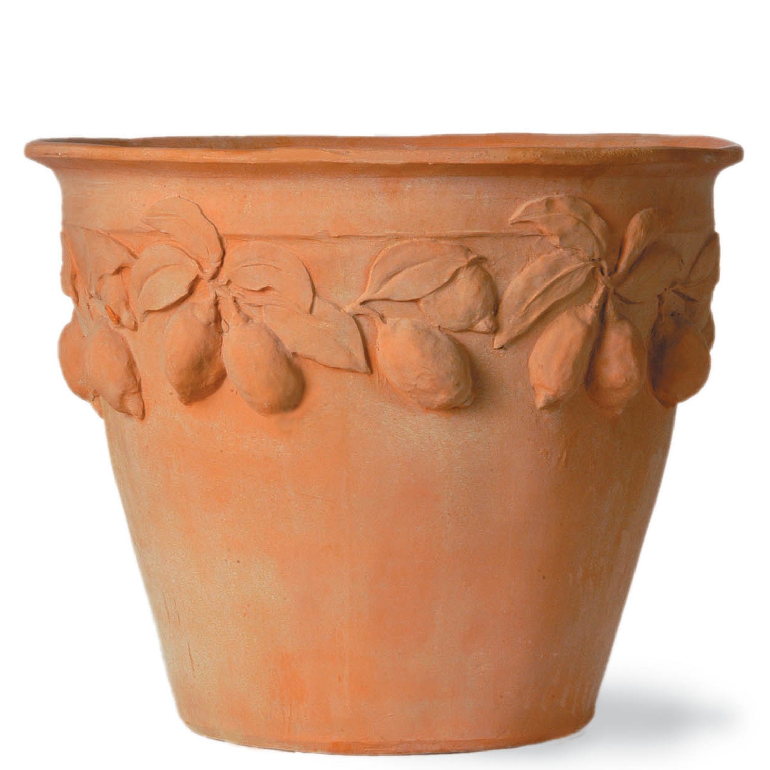 Fibreglass Faux Terracotta Citrus Pot (4 sizes) CT CGP East Sussex