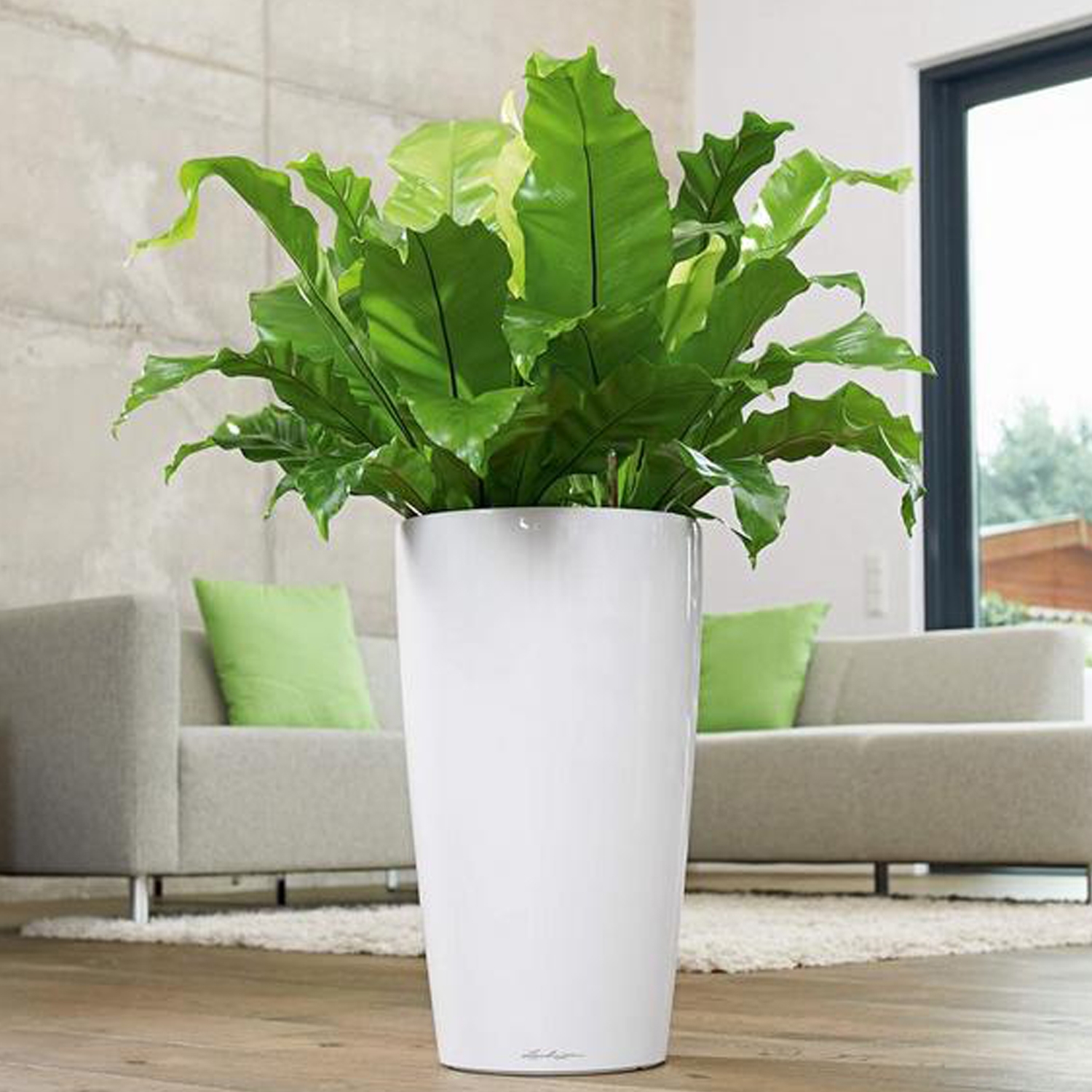 White Rondo Planter - WHRP - Lechuza Professional - Riverhill Garden ...